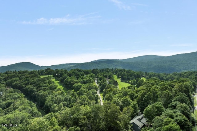 220 Northridge Rd Unit D15, Beech Mountain, NC 28604 - photo 40