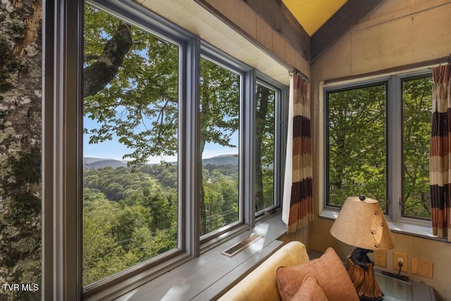 220 Northridge Rd Unit D15, Beech Mountain, NC 28604 - photo 4