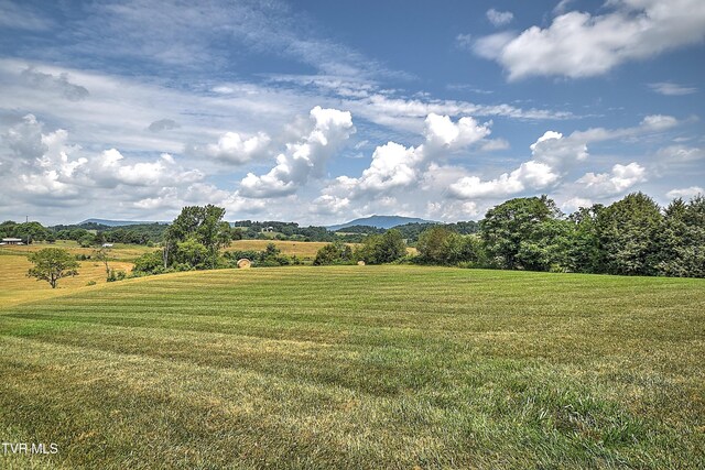 35 Short Rd, Limestone, TN 37681 - photo 69