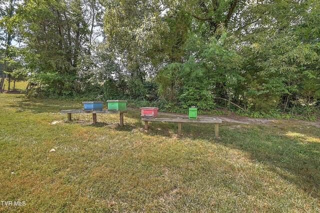 35 Short Rd, Limestone, TN 37681 - photo 80