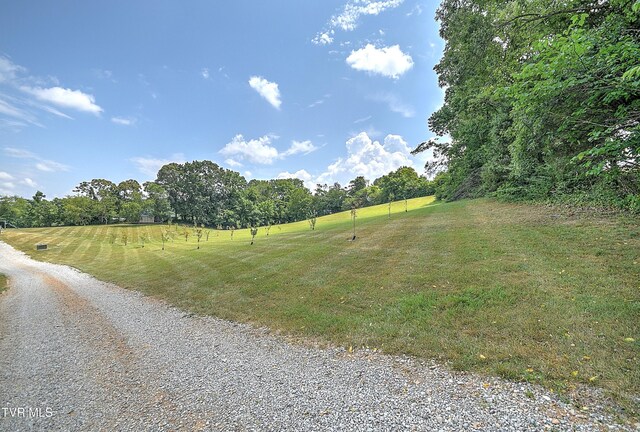 35 Short Rd, Limestone, TN 37681 - photo 81