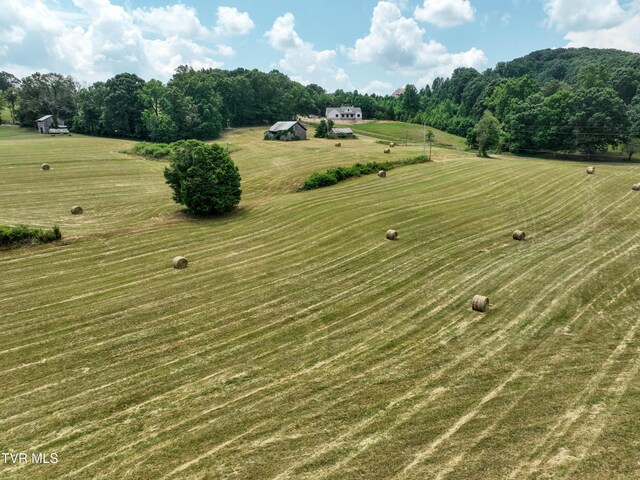35 Short Rd, Limestone, TN 37681 - photo 98