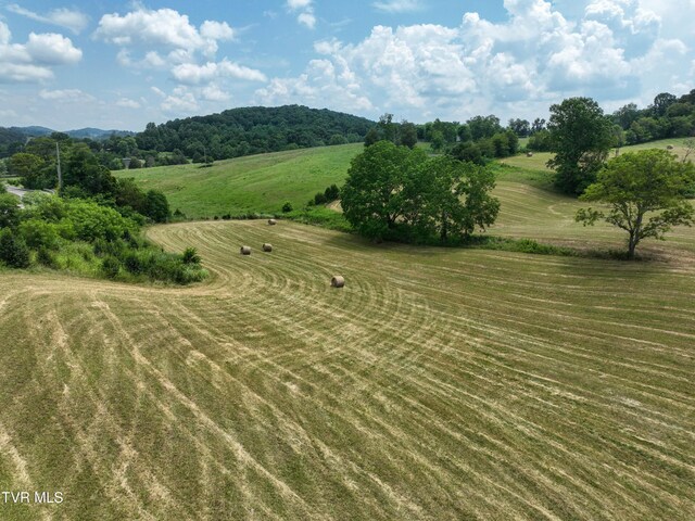 35 Short Rd, Limestone, TN 37681 - photo 99