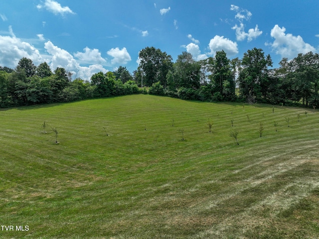 35 Short Rd, Limestone, TN 37681 - photo 105