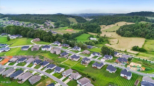 1157 Brumit Flds, Johnson City, TN 37615 - photo 62