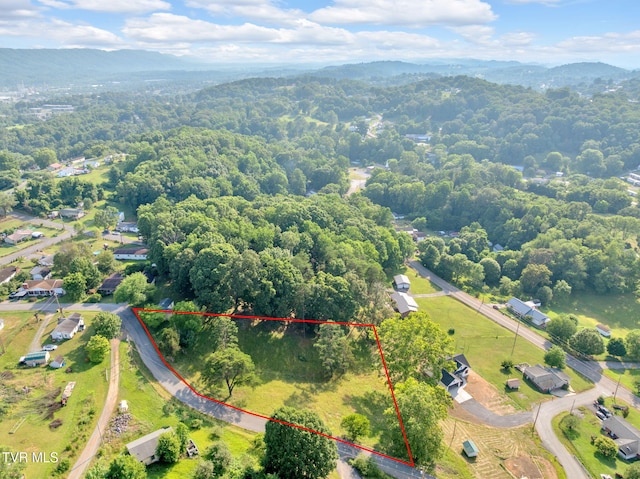 612 Kincaid St, Kingsport, TN 37660 - photo 1