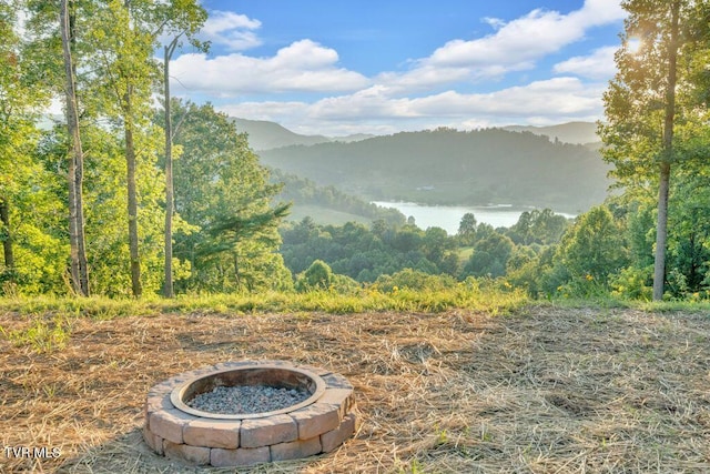 139 Lakeridge Ln, Butler, TN 37640 - photo 38