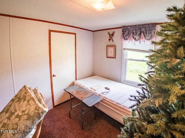 3740 Stanley Valley Rd, Surgoinsville, TN 37873 - photo 74