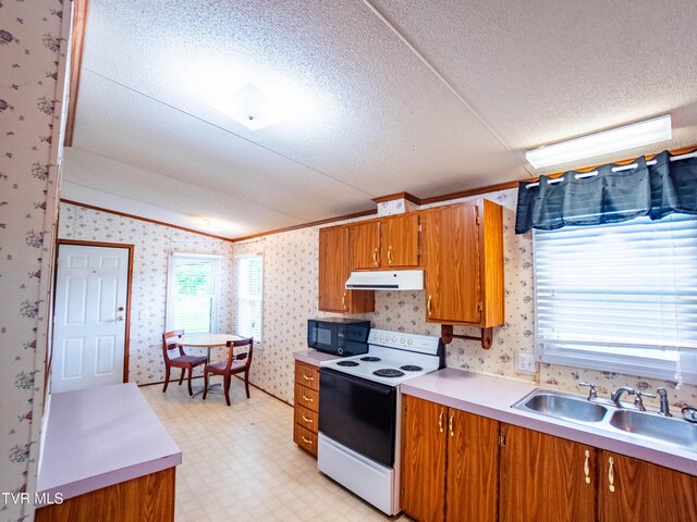 3740 Stanley Valley Rd, Surgoinsville, TN 37873 - photo 61