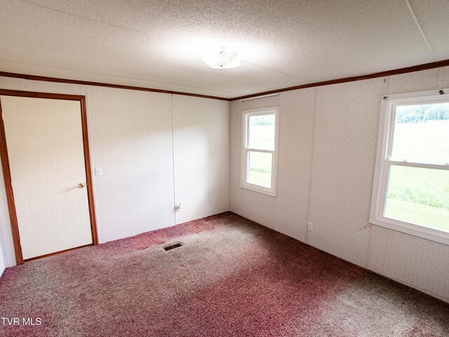 3740 Stanley Valley Rd, Surgoinsville, TN 37873 - photo 64