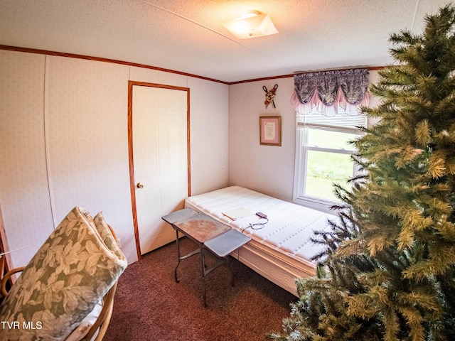 3740 Stanley Valley Rd, Surgoinsville, TN 37873 - photo 75