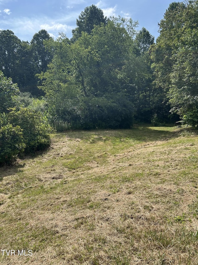 195 Estep Dr, Keokee, VA 24265 - photo 13