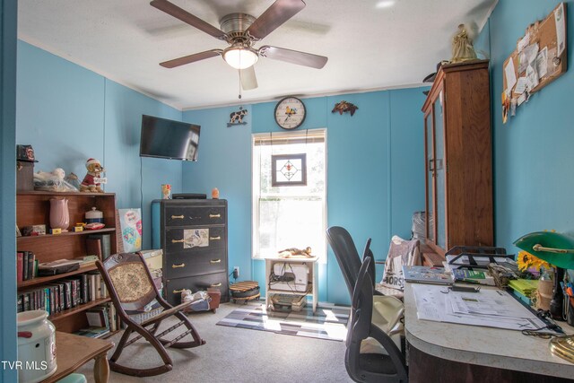 22720 Twin Oaks Rd, Abingdon, VA 24211 - home office featuring carpet floors and a ceiling fan
