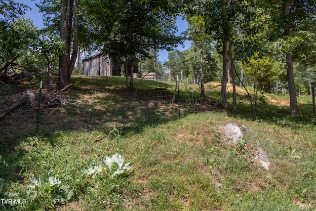 22720 Twin Oaks Rd, Abingdon, VA 24211 - view of yard