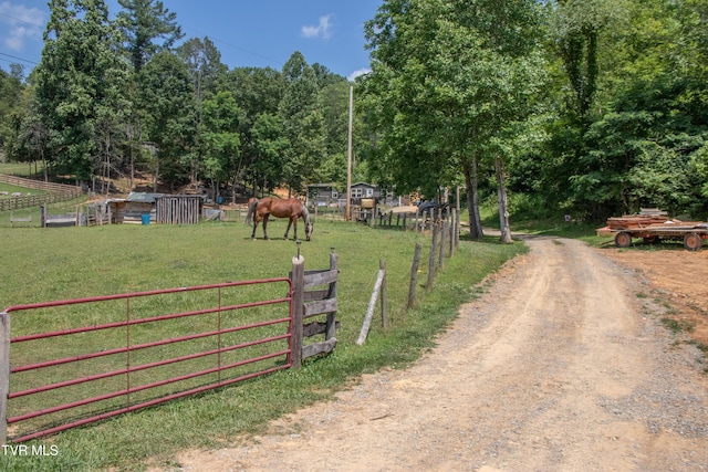 22720 Twin Oaks Rd, Abingdon, VA 24211 - view of dirt / gravel driveway with a view of rural / pastoral area