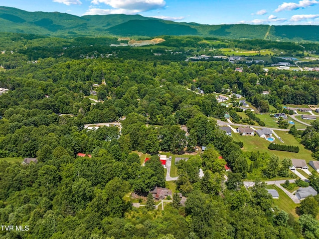 285 Vanover Ln, Jacksboro, TN 37757 - bird's eye view of a mountainous background