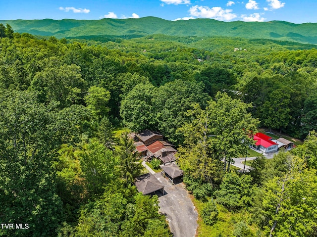 285 Vanover Ln, Jacksboro, TN 37757 - bird's eye view of a heavily wooded area and mountains