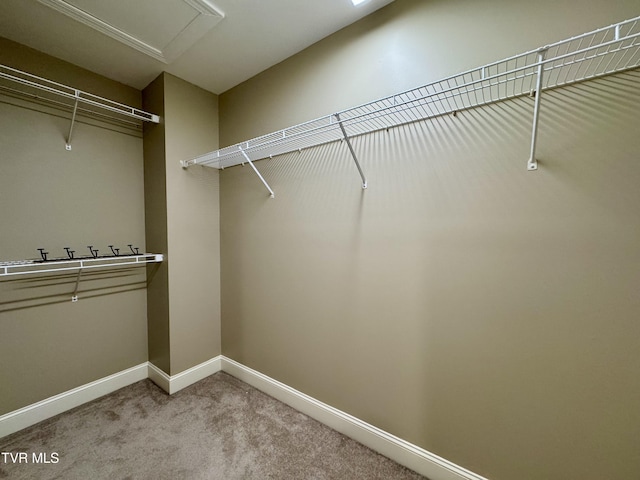 220 Cedar Creek Rd Unit 1, Johnson City, TN 37615 - walk in closet with carpet and attic access