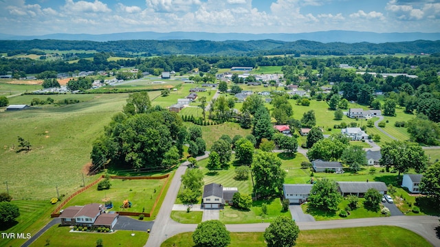 17304 Mary Lee Dr, Abingdon, VA 24210 - photo 43