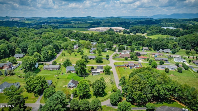 17304 Mary Lee Dr, Abingdon, VA 24210 - photo 44