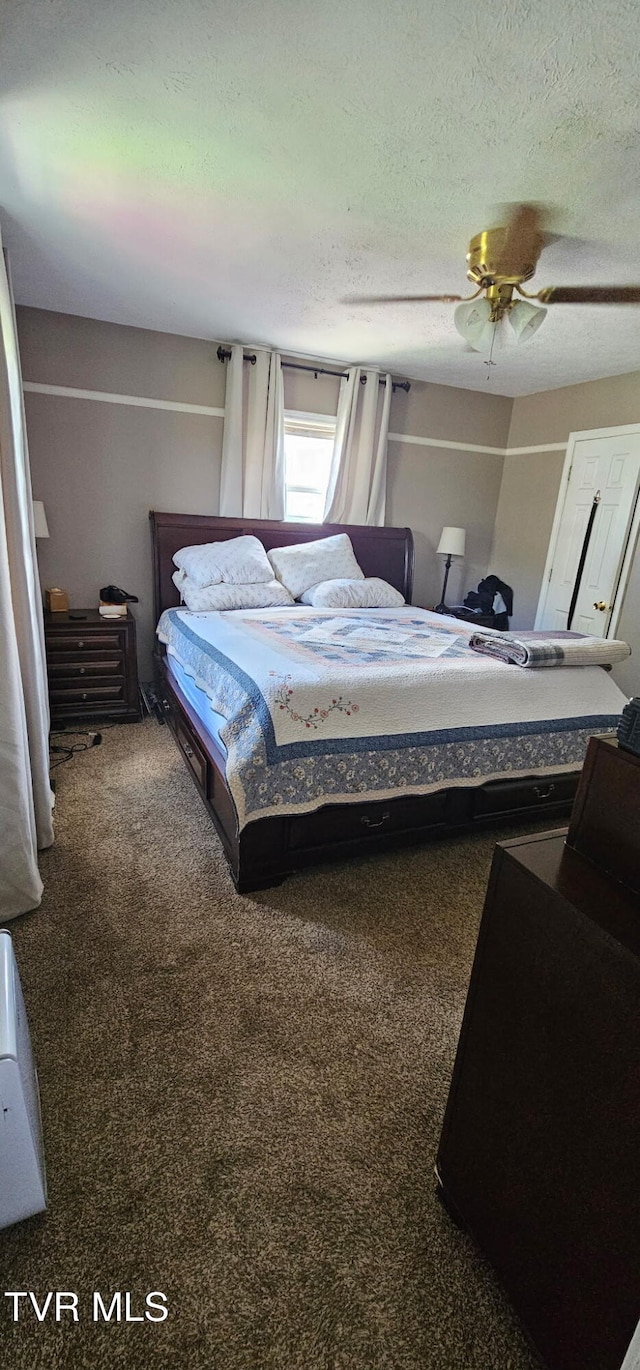 296 Old Kentucky Rd S, Greeneville, TN 37743 - photo 50