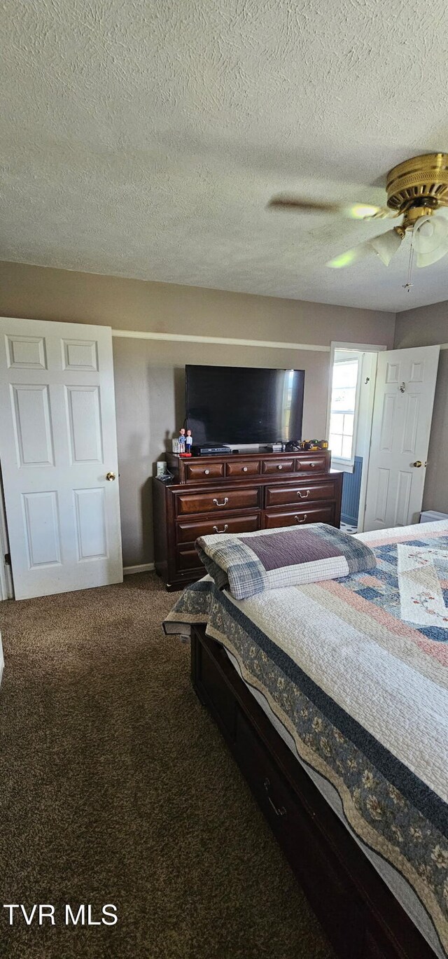 296 Old Kentucky Rd S, Greeneville, TN 37743 - photo 53