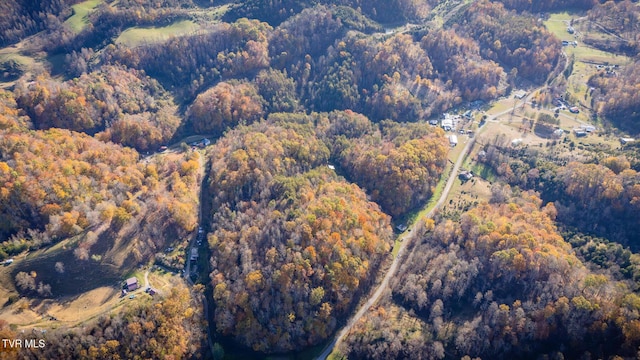 3961 Canton Rd, Blackwater, VA 24221 - aerial view of property's location featuring a heavily wooded area