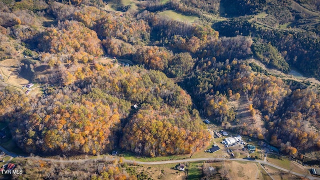 3961 Canton Rd, Blackwater, VA 24221 - view of property location featuring a forest