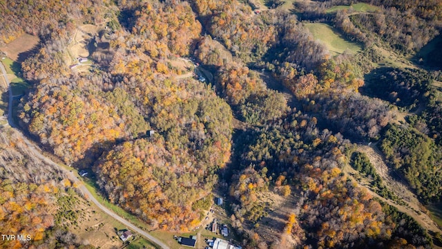 3961 Canton Rd, Blackwater, VA 24221 - aerial view of property and surrounding area