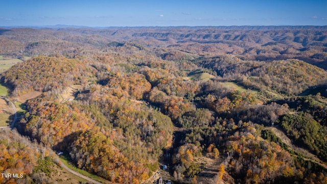 3961 Canton Rd, Blackwater, VA 24221 - view of property location with a forest