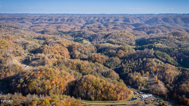 3961 Canton Rd, Blackwater, VA 24221 - aerial view of property's location featuring a forest and mountains