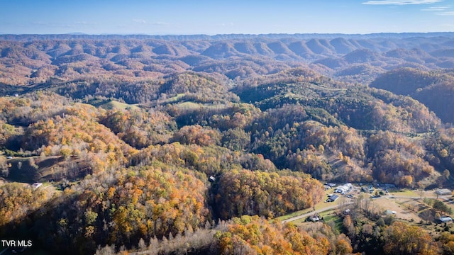 3961 Canton Rd, Blackwater, VA 24221 - aerial view of property and surrounding area featuring a forest