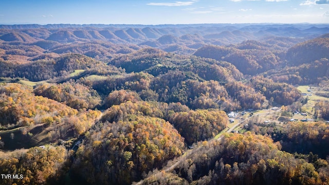 3961 Canton Rd, Blackwater, VA 24221 - aerial view of property's location with a forest and mountains