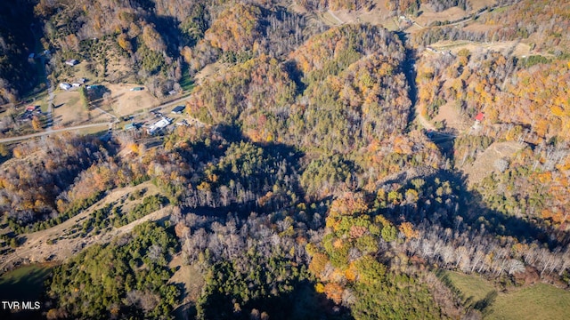 3961 Canton Rd, Blackwater, VA 24221 - aerial view of property's location with a forest