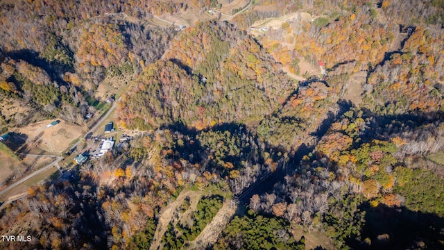 3961 Canton Rd, Blackwater, VA 24221 - aerial overview of property's location