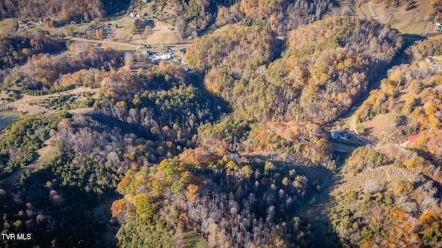 3961 Canton Rd, Blackwater, VA 24221 - view of property location featuring a forest