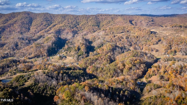3961 Canton Rd, Blackwater, VA 24221 - view of mountain backdrop with a forest