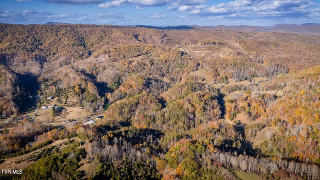 3961 Canton Rd, Blackwater, VA 24221 - view of property location with a forest