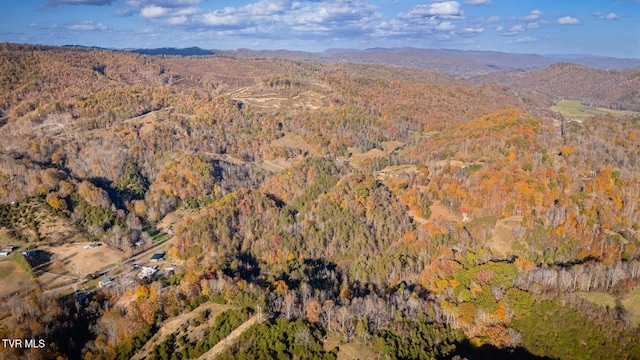 3961 Canton Rd, Blackwater, VA 24221 - aerial overview of property's location featuring a heavily wooded area and a mountain backdrop