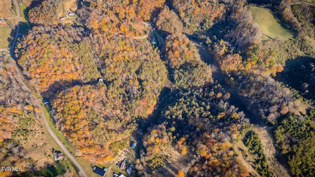 3961 Canton Rd, Blackwater, VA 24221 - aerial view of property's location