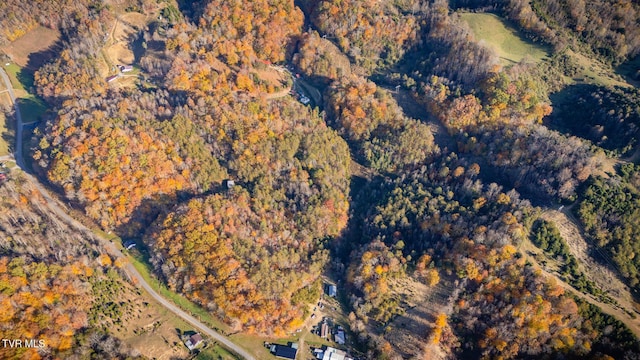 3961 Canton Rd, Blackwater, VA 24221 - aerial overview of property's location