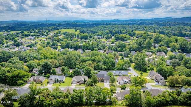 702 Glen Oaks Pl, Johnson City, TN 37615 - photo 54