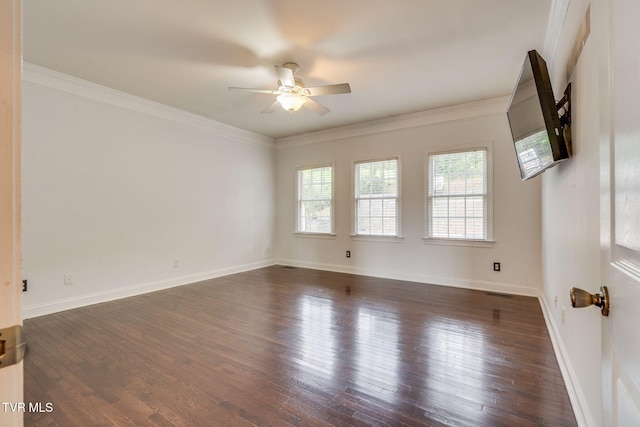 702 Glen Oaks Pl, Johnson City, TN 37615 - photo 19