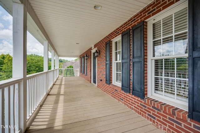 702 Glen Oaks Pl, Johnson City, TN 37615 - photo 4