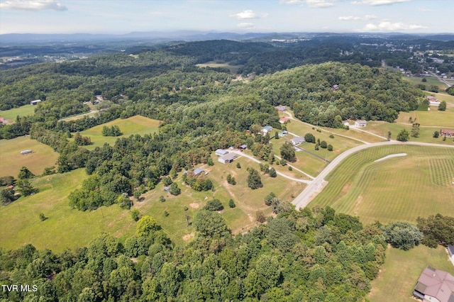 274 Warrensburg Rd, Greeneville, TN 37743 - photo 53