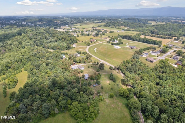 274 Warrensburg Rd, Greeneville, TN 37743 - photo 54
