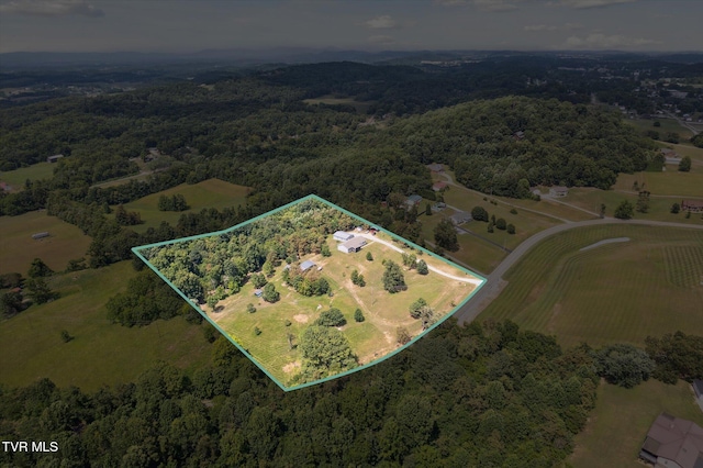 274 Warrensburg Rd, Greeneville, TN 37743 - photo 59