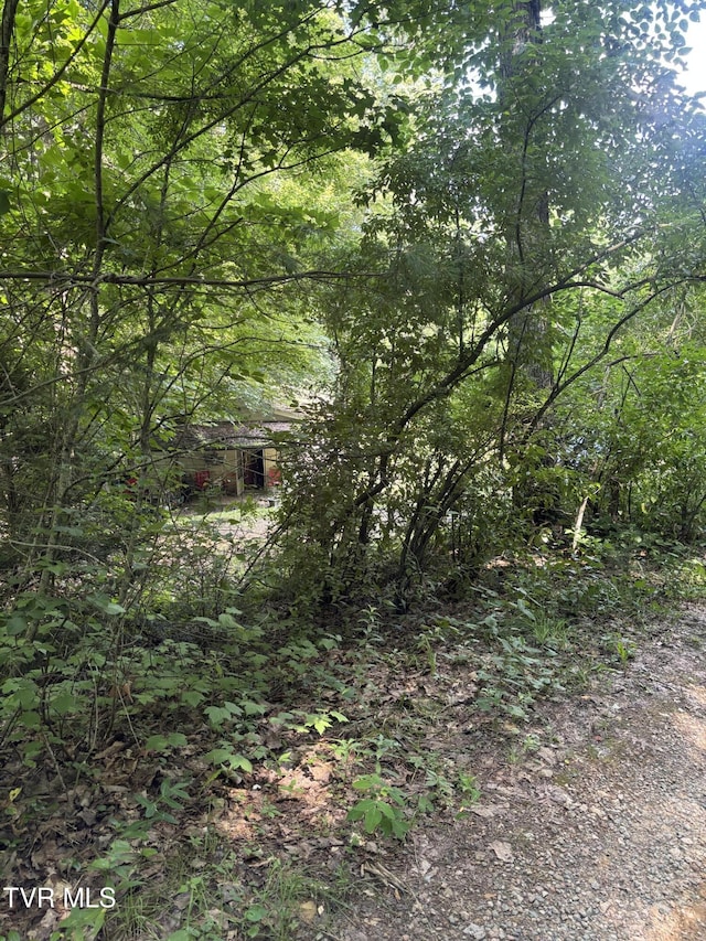 1481 Pleasant Valley Rd, Mountain City, TN 37683 - photo 42