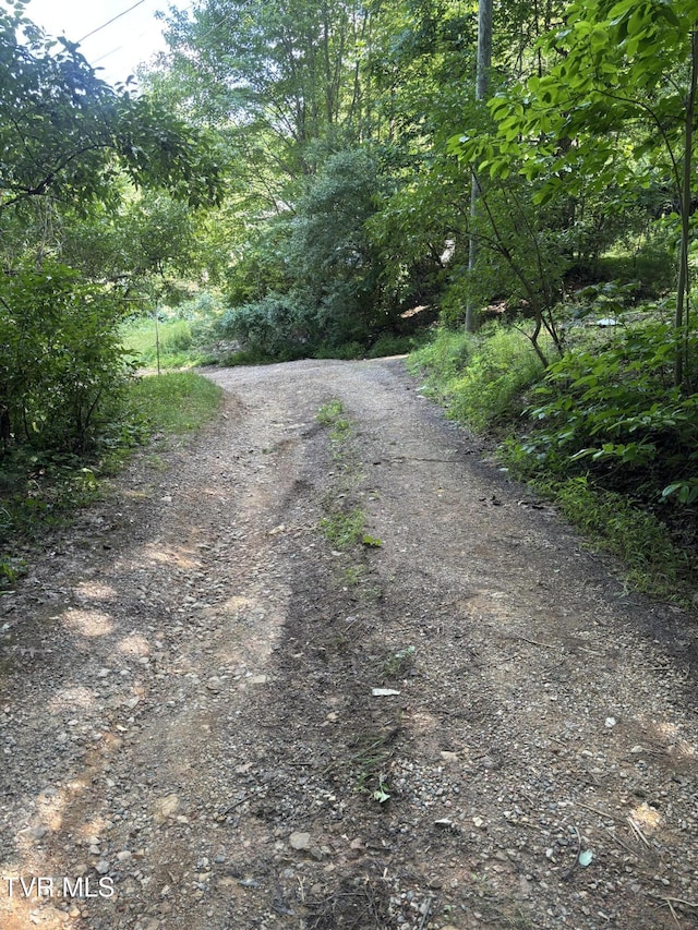 1481 Pleasant Valley Rd, Mountain City, TN 37683 - photo 41