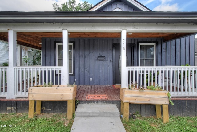 216 3rd St, Erwin, TN 37650 - doorway to property with board and batten siding and a porch